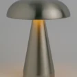 ak-007(2)