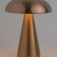 ak-008(2)