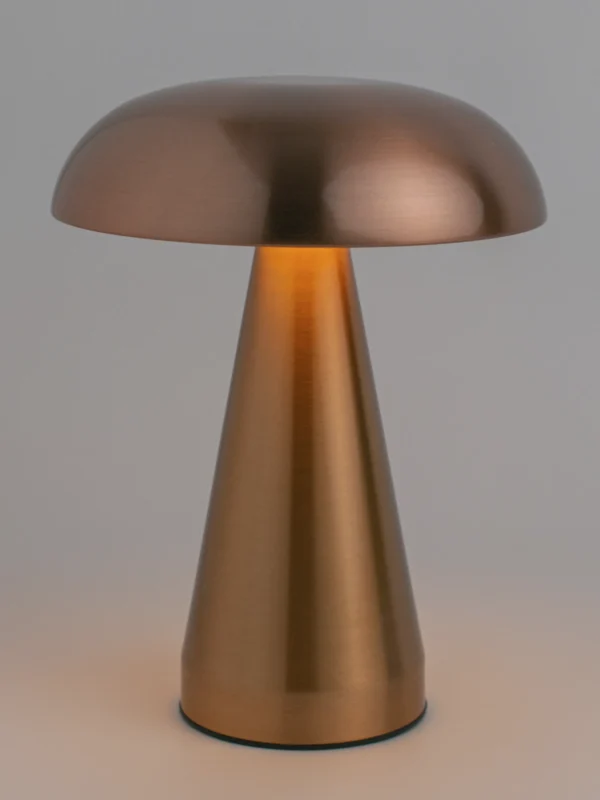 ak-008(2) ak-008(2)