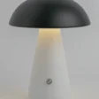 ak-012(2)